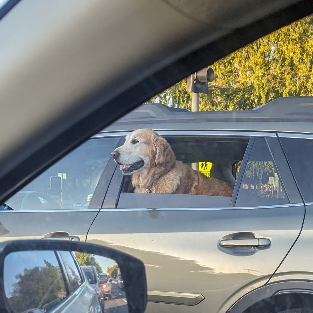 Meet your Posher, Sam